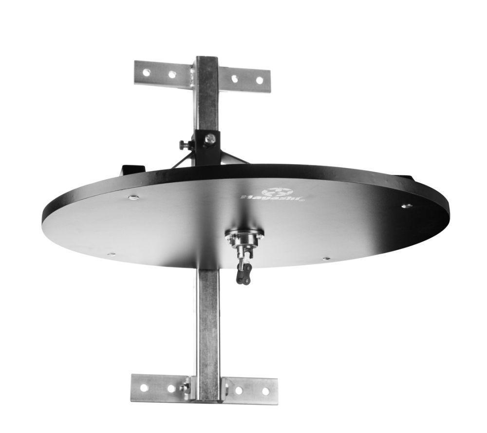 Hayashi Professional Speed Ball Platform